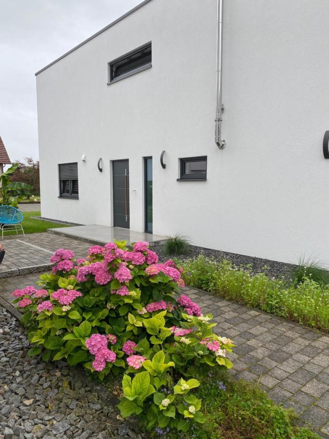 Schoener Wohnen Friesenheim  Luaran gambar